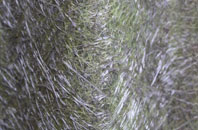 Rochdale fibreglass roof work